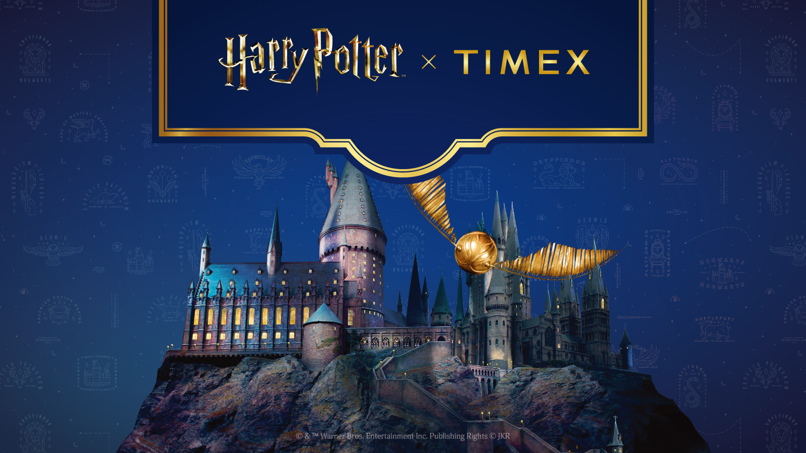 Harry Potter x Timex